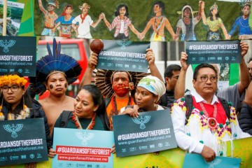 Indigenous Groups Warn Paris Accord Imperiled by Deforestation